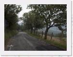 HPIM3279 * 2048 x 1536 * (1.11MB)